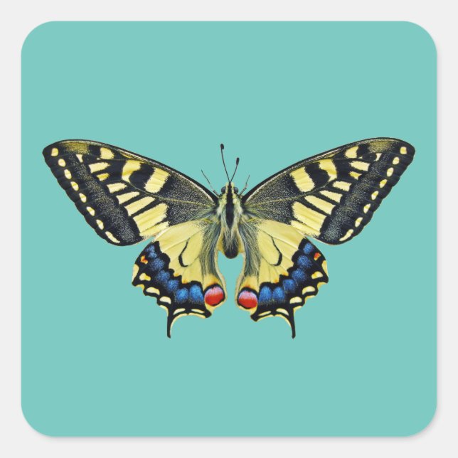 Adesivo Quadrado Borboleta amarela e preta (Frente)