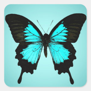 Adesivo Quadrado Borboleta - azul e preto de turquesa