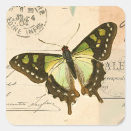 Adesivo Quadrado Borboleta de vintagem russa em vinheta verde