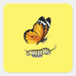 Adesivo Quadrado Borboleta e lagarta