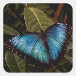 Adesivo Quadrado Borboleta grande, linda, azul