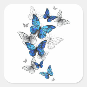 Adesivo Quadrado Borboletas Azuis Morpho