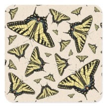 Borboletas do Sudoeste Amarelo