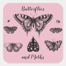 Adesivo Quadrado Borboletas e Mariposas Impressão Vintage