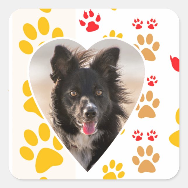 Adesivo Quadrado Borda Collie Paw Print Love Heart (Frente)