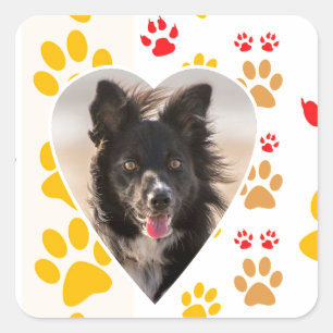 Adesivo Quadrado Borda Collie Paw Print Love Heart