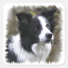 Adesivo Quadrado Border Collie Art