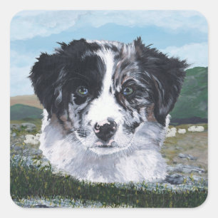Adesivo Quadrado Border Collie no Trabalho