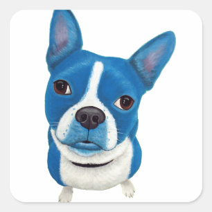 Adesivo Quadrado Boston azul Terrier
