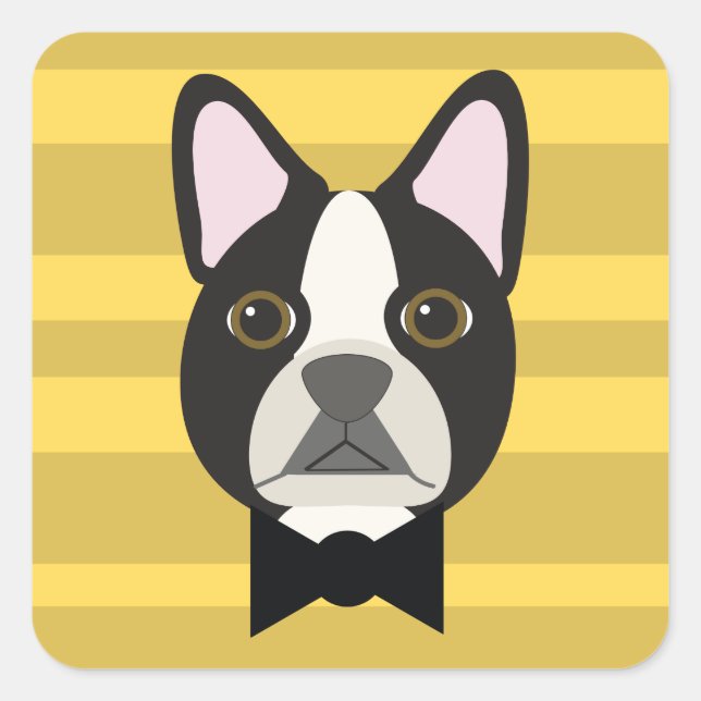 Adesivo Quadrado Boston Terrier (Frente)