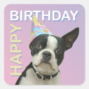 Adesivo Quadrado Boston Terrier Birthday Sticker