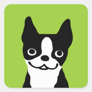 Adesivo Quadrado Boston Terrier - Cachorro Fofo