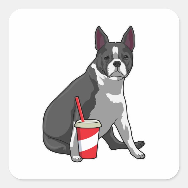 Adesivo Quadrado Boston Terrier com bebida (Frente)