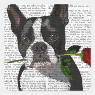 Adesivo Quadrado Boston Terrier com Rosa em Boca