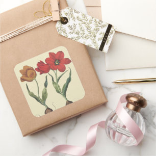 Adesivo Quadrado Botânica Vintage, Flores de Tulipa em Flor e Bulbo