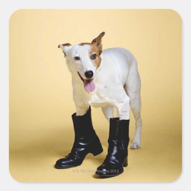 Adesivo Quadrado Botas para vestir cães (Frente)