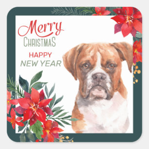 Adesivo Quadrado Boxer Dog Poinsettia Border Christmas