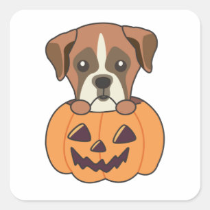Adesivo Quadrado Boxin In Pumpkin Cute Dogs Happy Halloween