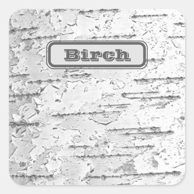 Adesivo Quadrado Branco, como em Foto do Latido Birch com Nome (Frente)