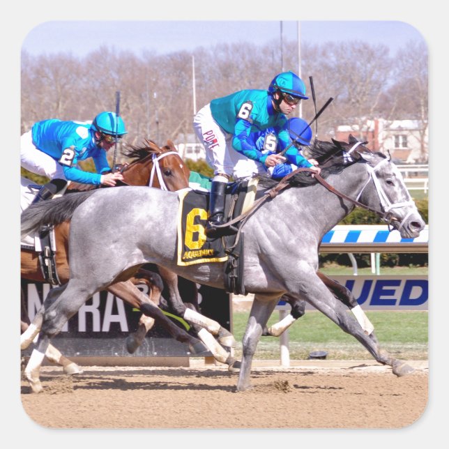 Adesivo Quadrado Bravo de Joe - minha senhorita lilly (Frente)