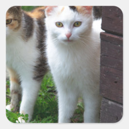 Adesivo Quadrado Brincadeira