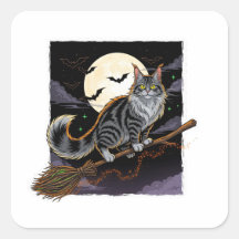 Broomstick Rider Coon - Maine Coon Halloween