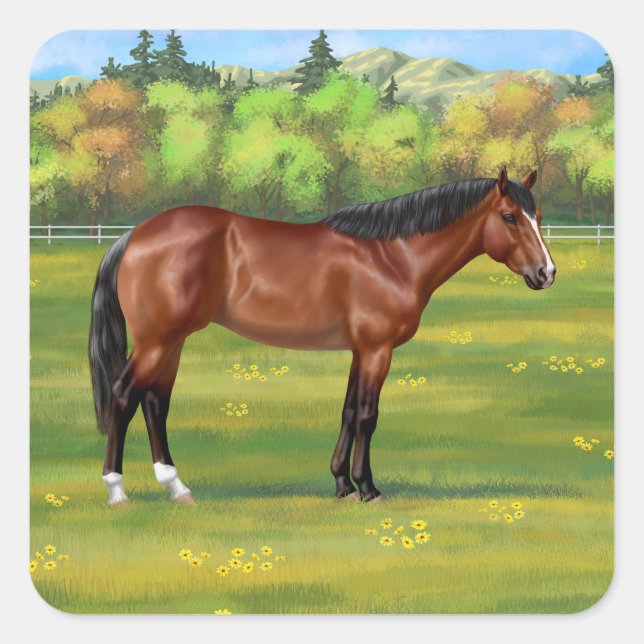 Adesivo Quadrado Brown Bay Quarter Horse (Frente)