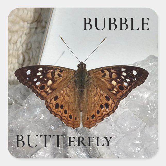 Adesivo Quadrado Bubble BUTTerfly (Frente)