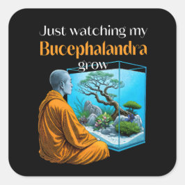 Adesivo Quadrado Bucephalandra Zen – A Meditative Aquascaping