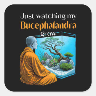 Adesivo Quadrado Bucephalandra Zen – A Meditative Aquascaping