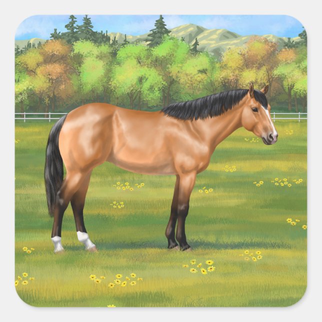 Adesivo Quadrado Buckskin Dun Quarter Horse (Frente)