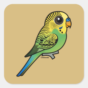 Adesivo Quadrado Budgerigar de Birdorable
