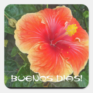 Adesivo Quadrado Buenos Dias