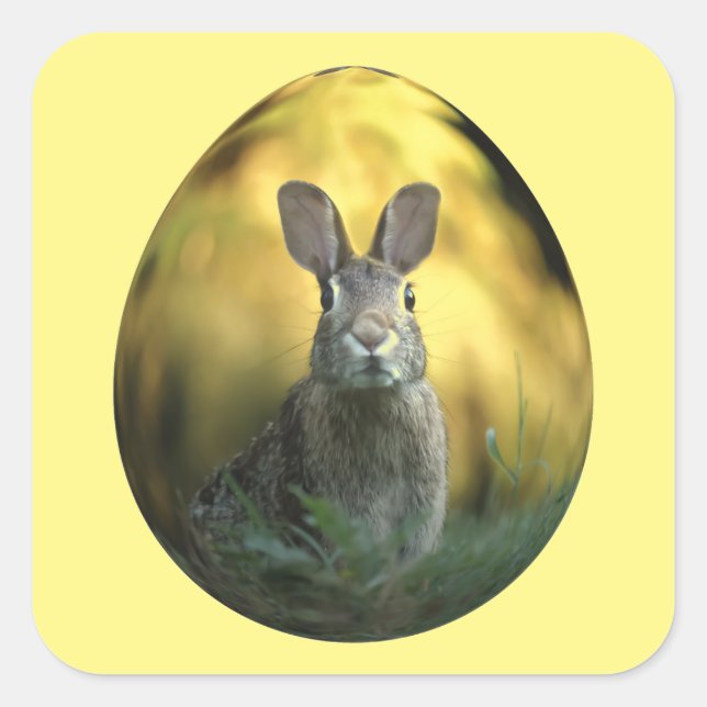 Adesivo Quadrado Bunny On Egg (Frente)