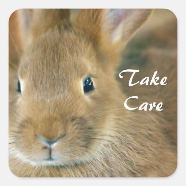 Adesivo Quadrado Bunny Rabbit (Frente)