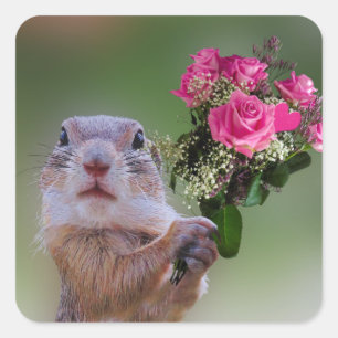 Adesivo Quadrado Buquê Marmot