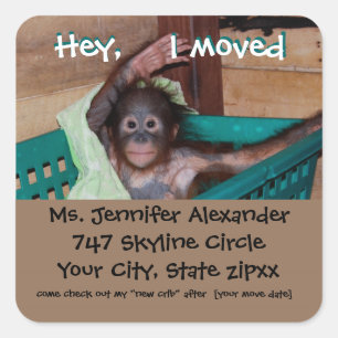 Adesivo Quadrado BUsiness do macaco de novo endereço