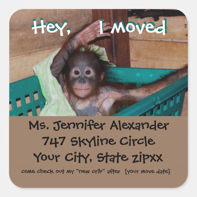 Adesivo Quadrado BUsiness do macaco de novo endereço (Frente)