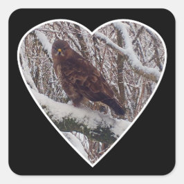Adesivo Quadrado Buzzard sobre Snowy Branch no Heart Sticker
