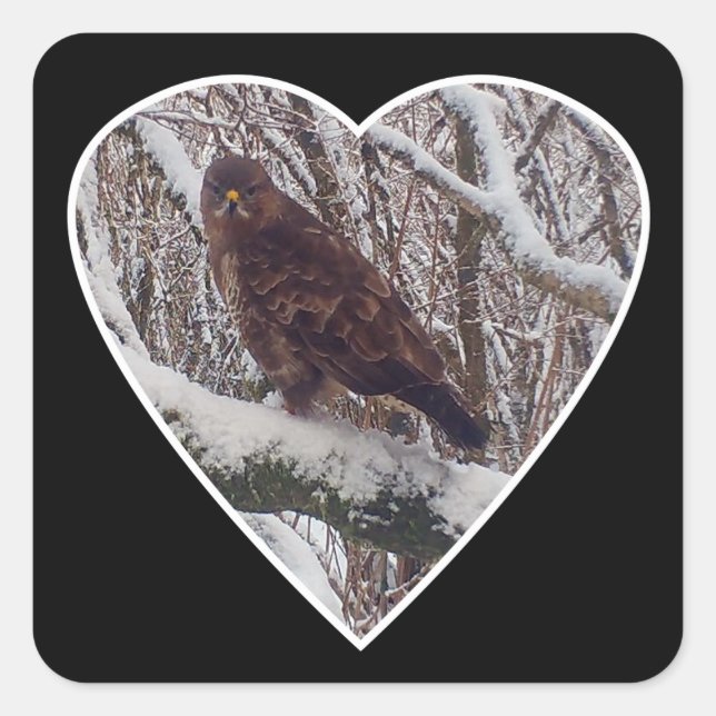 Adesivo Quadrado Buzzard sobre Snowy Branch no Heart Sticker (Frente)