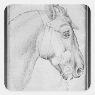 Adesivo Quadrado Cabeça de um cavalo, o do álbum de Vallardi
