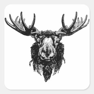 Adesivo Quadrado Cabeça dos alces