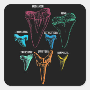 Adesivo Quadrado Caça aos dentes de tubarão - Presentes de tubar