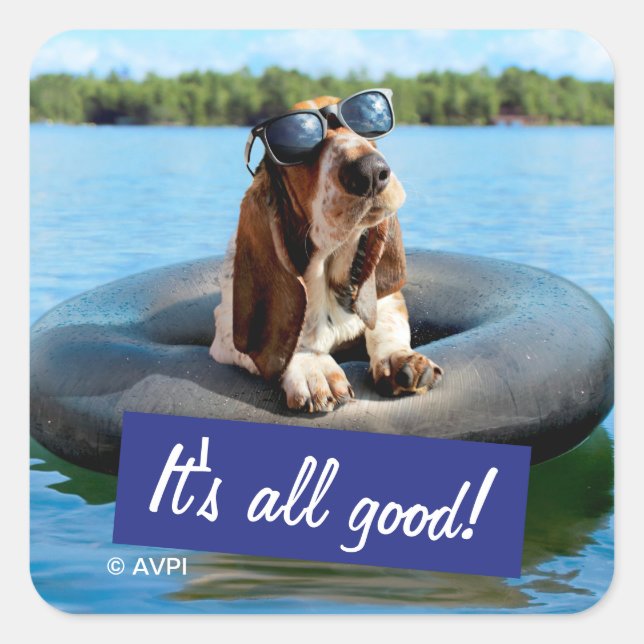 Adesivo Quadrado Caça-Basset Nos Óculos Solares (Frente)