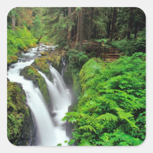 Adesivo Quadrado Cachoeira Sol Duc no Parque Nacional Olímpico em