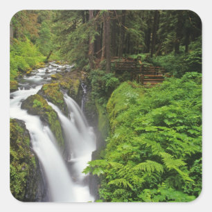 Adesivo Quadrado Cachoeira Sol Duc no Parque Nacional Olímpico em 2