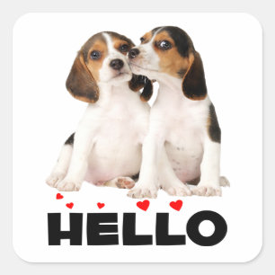 Adesivo Quadrado Cachorrinho Beagle Fofo Amor Olá Pensando em Você