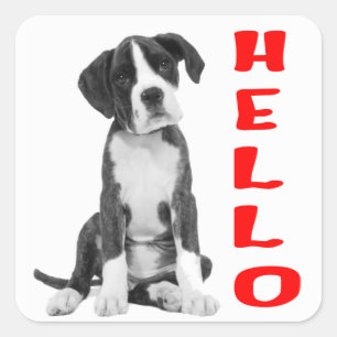 Adesivo Quadrado Cachorrinho Boxer Preto e Branco Olá Vermelho