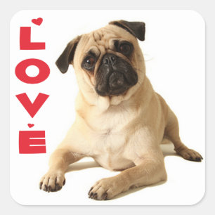 Adesivo Quadrado Cachorrinho Pug - Pensando em Você