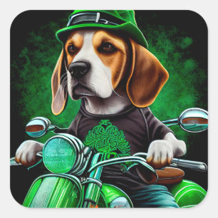 Adesivo Quadrado Cachorro Beagle dirigindo bicicleta no Dia de São 